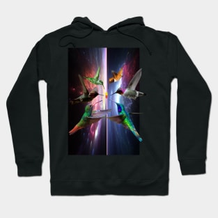 Trippy Kolibri Galaxie Vogel Glitch Techno Berlin Hoodie